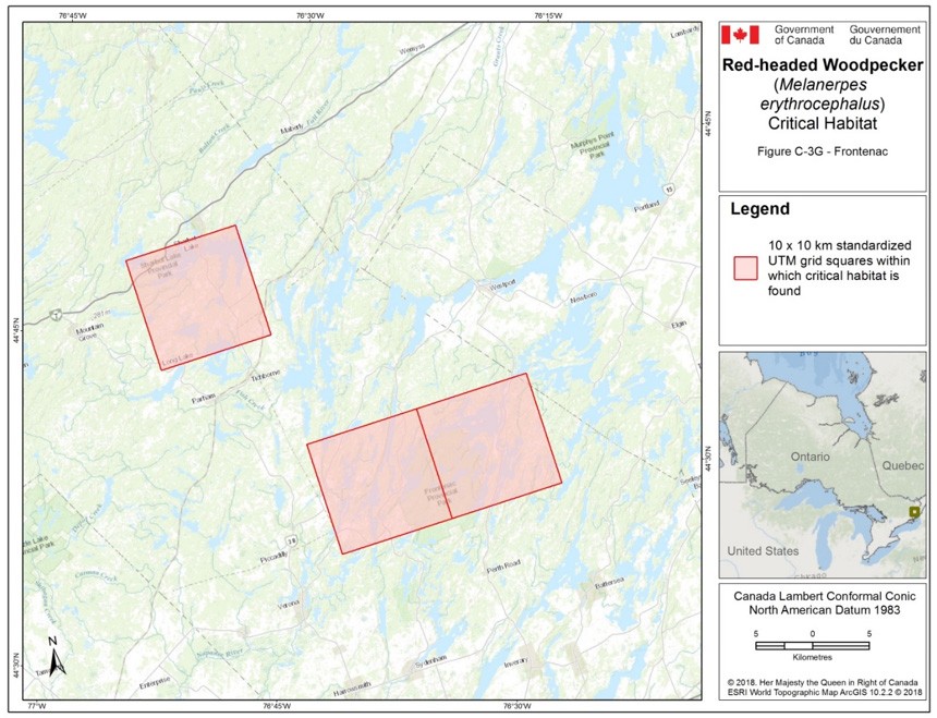 Critical habitat for the Red-headed Woodpecker in Ontario 