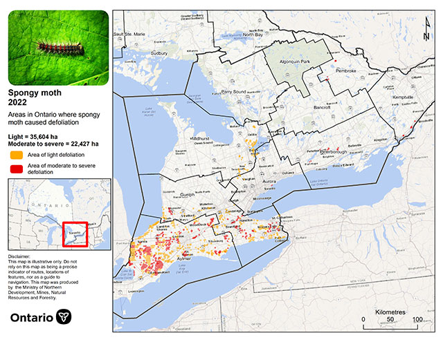Map of Northeast and Southern Ontario, showing spongy moth defoliation areas mostly in southwestern Ontario.