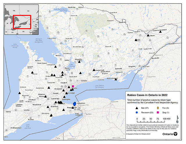 Map of rabies cases in Ontario in from January to December 2022