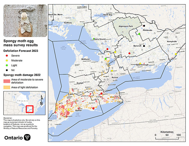 Map of southern Ontario showing distribution of projected 2023 spongy moth defoliation