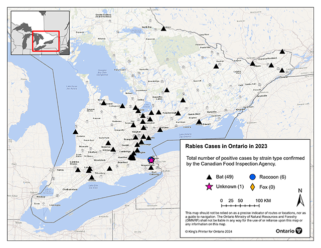 Map of rabies cases in Ontario in from January to December 2023