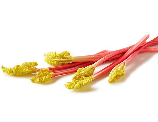 Rhubarbe