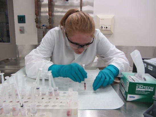 A picture of a rabies technician testing samples.
