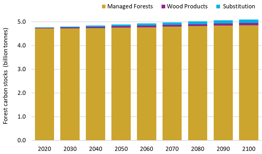 Chart showing projected carbon stocks in Managed Forests and wood products from the Managed Forest during 2020–2100.