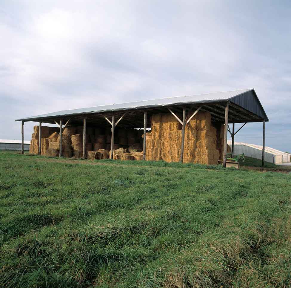 A pole barn in a hay field filled with straw bales.