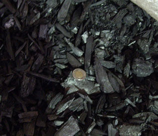 Photo montrant du charbon produit par pyrolyse lente