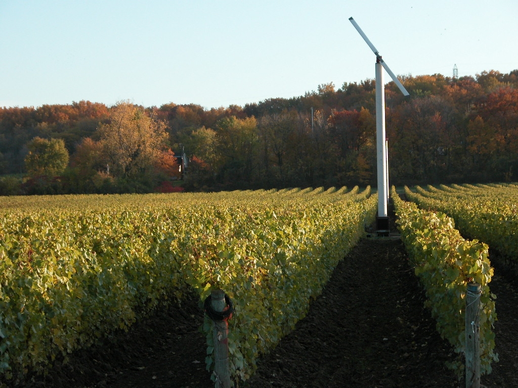Figure 1 : Photo d’une éolienne installée dans un vignoble avec, en arrière-plan, l’Escarpement du Niagara à la fin de l’automne. L’éolienne possède un mât de 10 mètres de haut et deux pales longues de 3 mètres chacune.