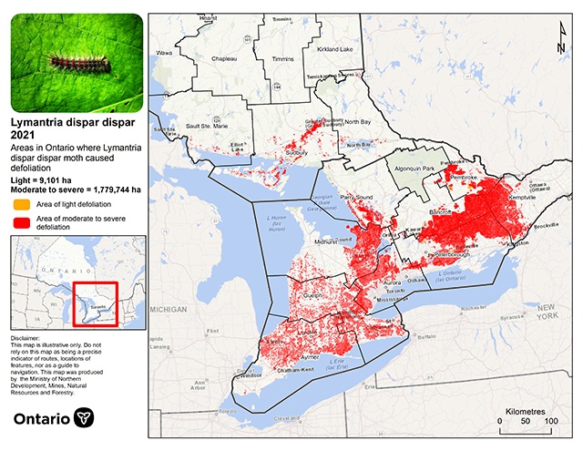 Map of Northeast and Southern Ontario, showing LDD moth defoliation areas northwest of Sudbury, along the north shore of Lake Huron, and across much of Southern Ontario.