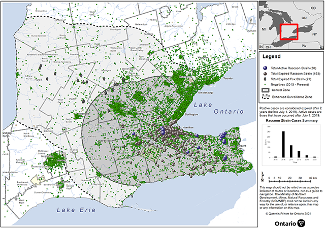 Map of rabies surveillance, as of November 24, 2021. Purple circles represent total active raccoon strain (30), grey circles represent total expired raccoon strain (463), diamond represents total expired fox strain (21), small green circles represent negatives (2015 - present), solid grey areas represent control zone and dash lines represent enhanced surveillance zones.