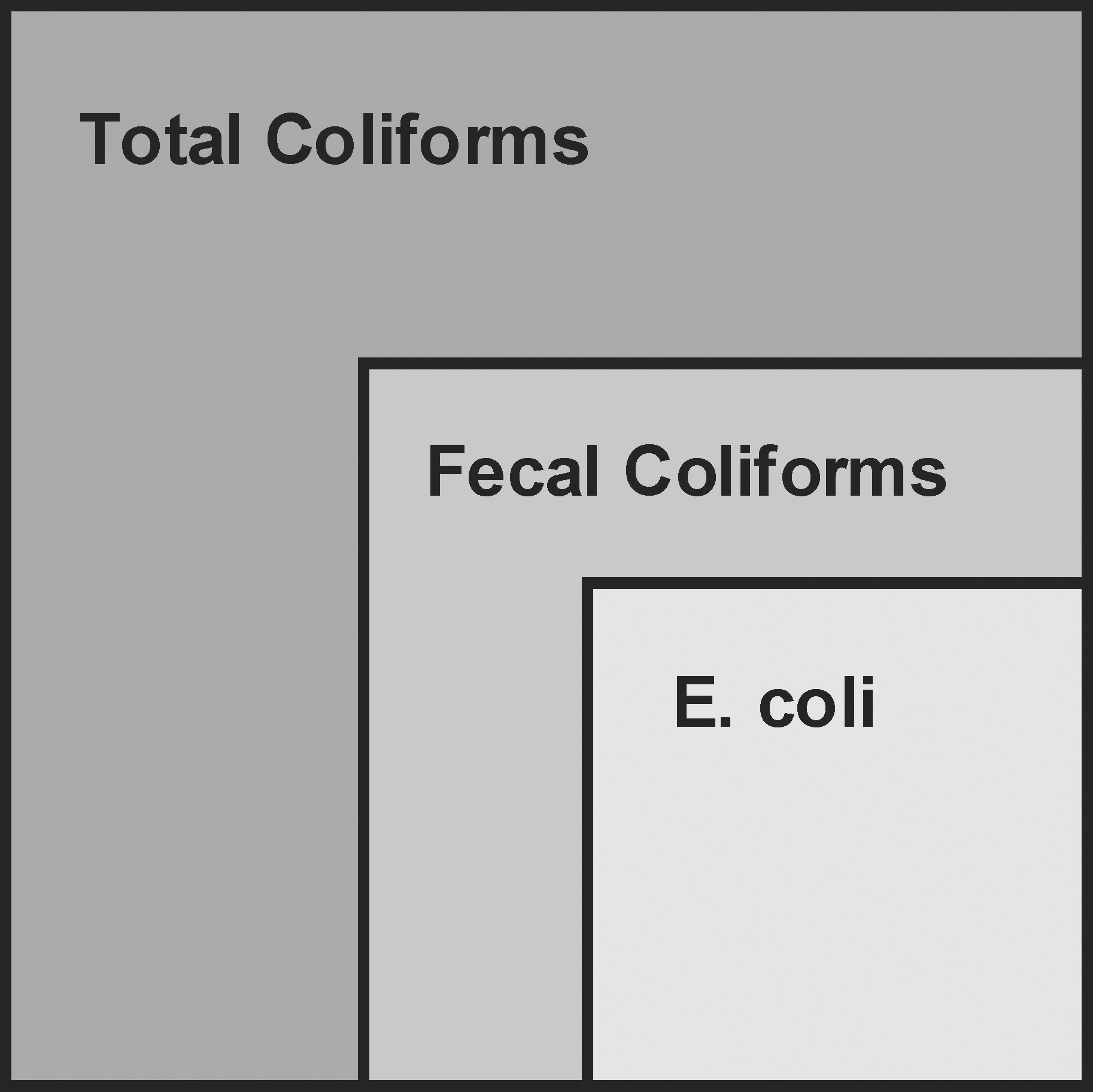 A chart showing that total coliforms is made up of fecal coliforms and E.Coli