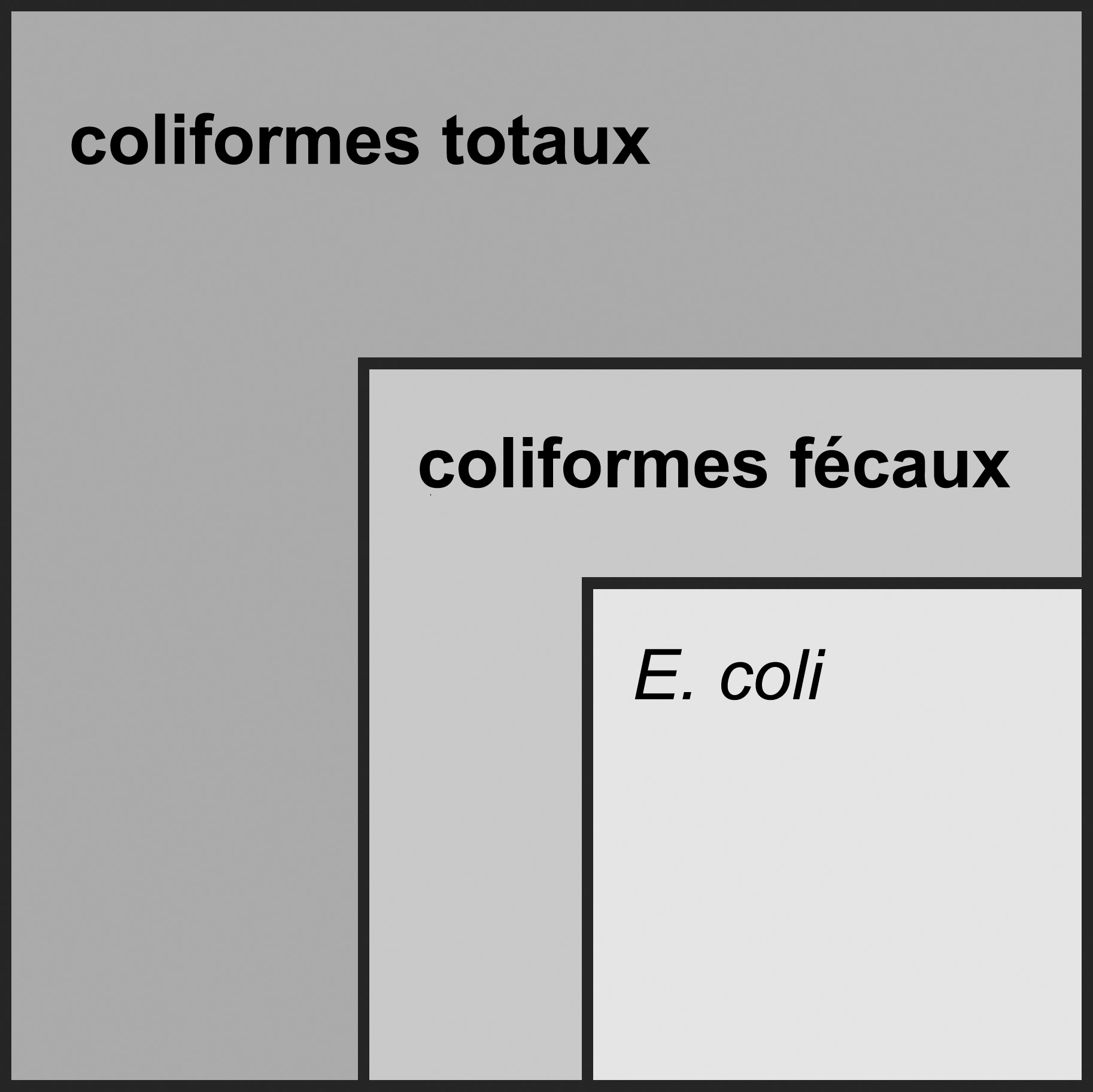 Un graphique montrant que les coliformes totaux sont constitués de coliformes fécaux et d'E. Coli