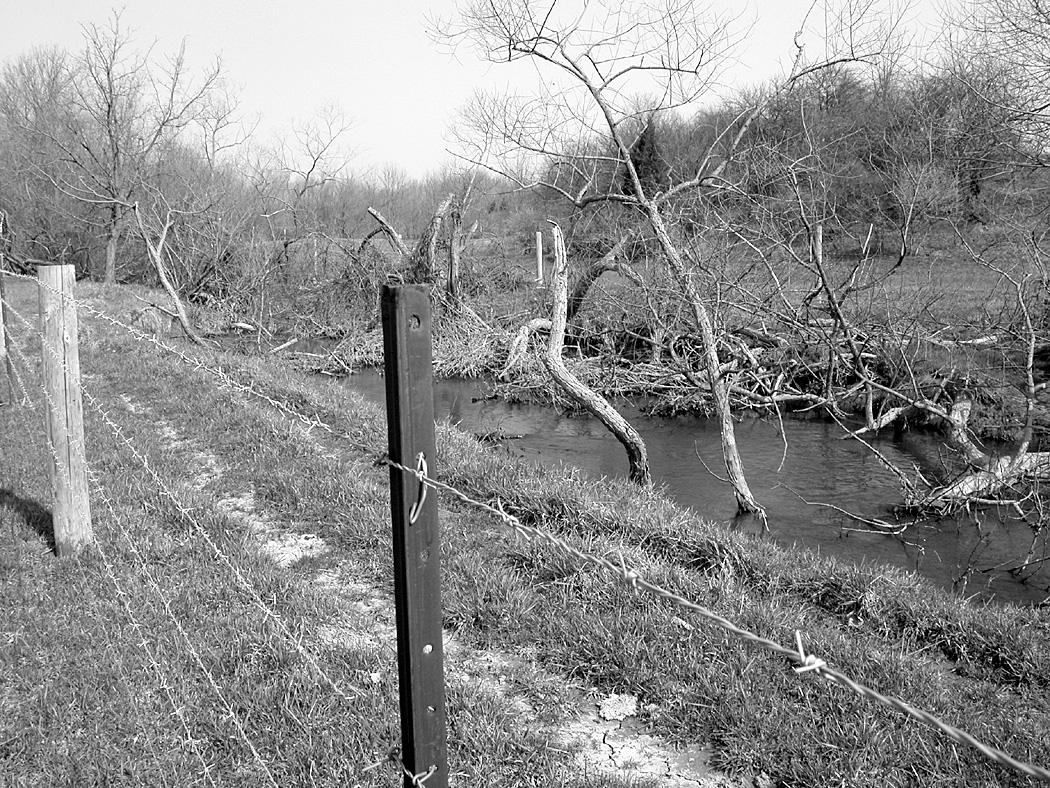 A creek fenced off with 5 strands of barbed wire 3 m from bank edge