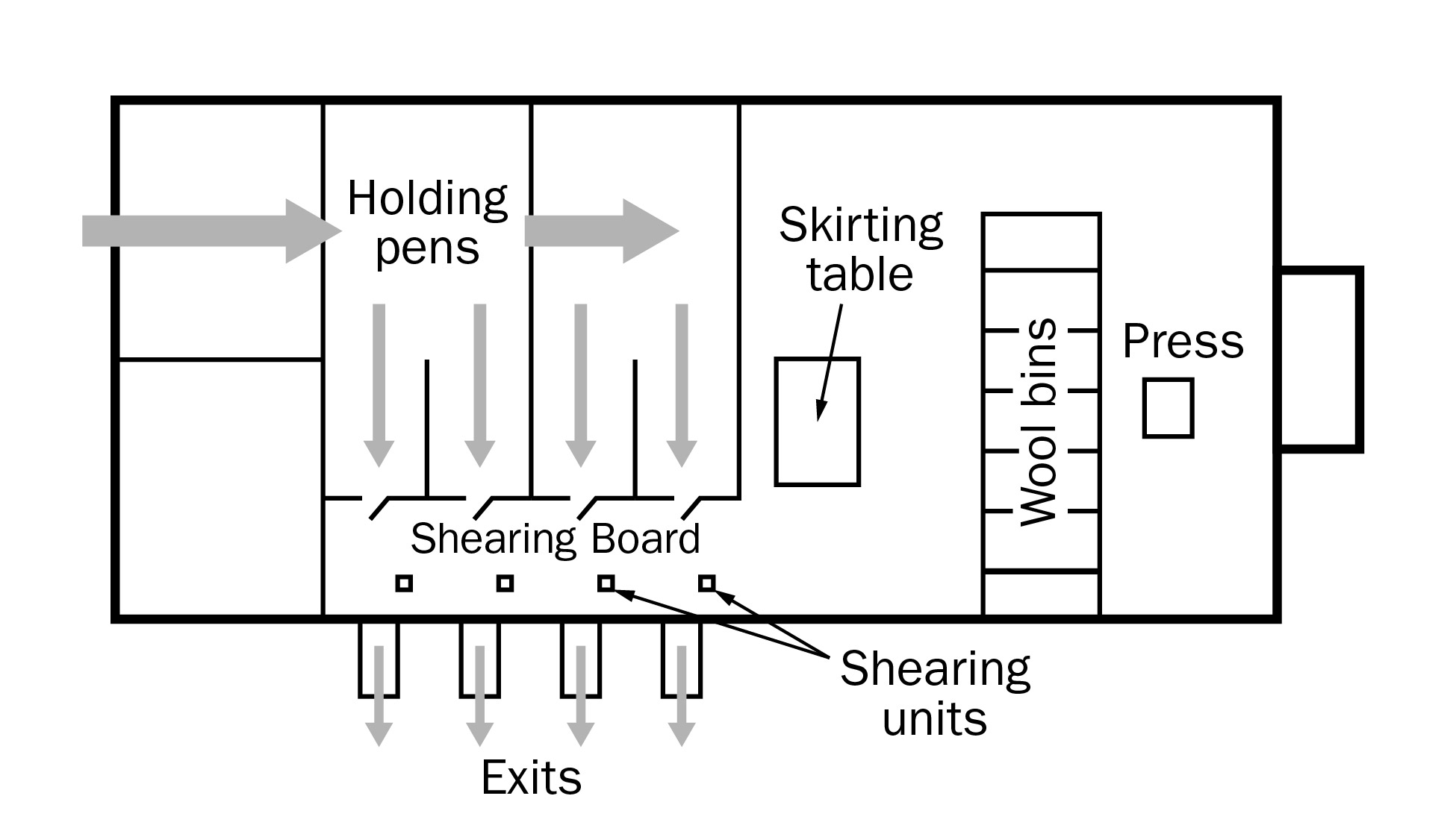 Floor layout for an across-the-board catch pen system. The diagram shows holding pen areas on the top left, the shearing board at the bottom middle and the table, wool bins and press on the right side.