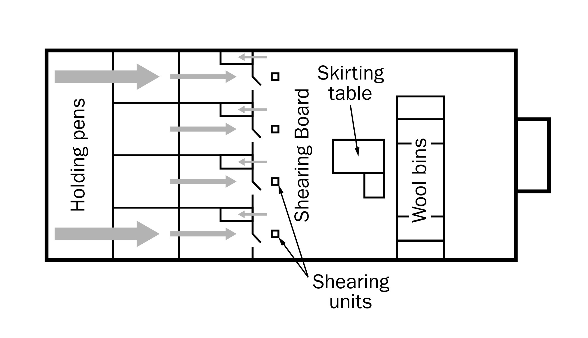 Floor layout for a centre-board design. The diagram shows holding pens on the left, the shearing board in the middle and the table and wool bins on the right.