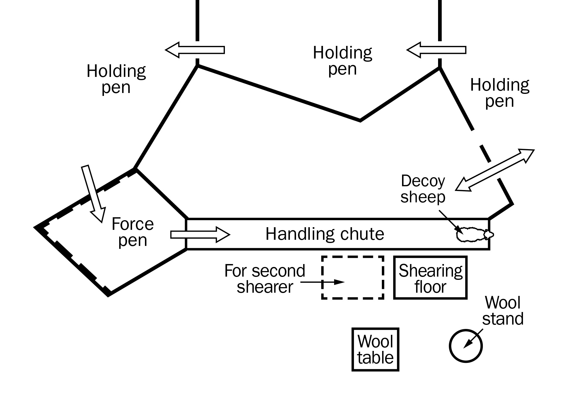 Floor layout for a portable shearing cute. Arrows show the movement of sheep from holding pens along the top, into a force pen on the middle left and into a handling chute with the shearing floor along the right side.