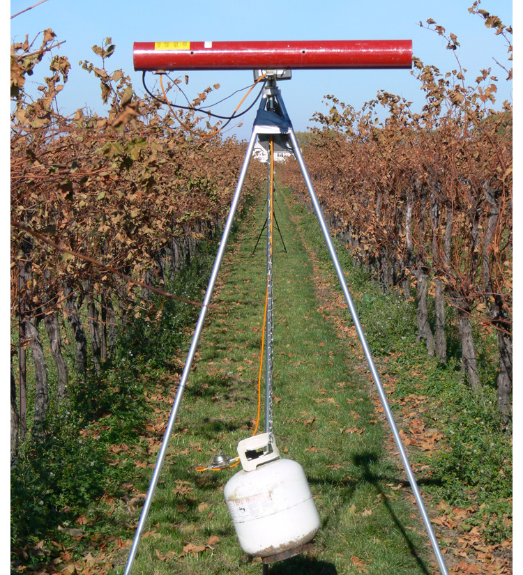 The side of bird banger on a tripod while it sits between two rows of grape vines. The red bird banger barrel is pointing to the right.