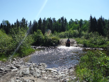 Summer student, Sasha Schouten, utilizing ATV trails to get to areas not accessible by road.