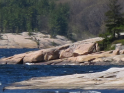 Les paysages accidentés et austères du Bouclier canadien dans le parc provincial Killbear