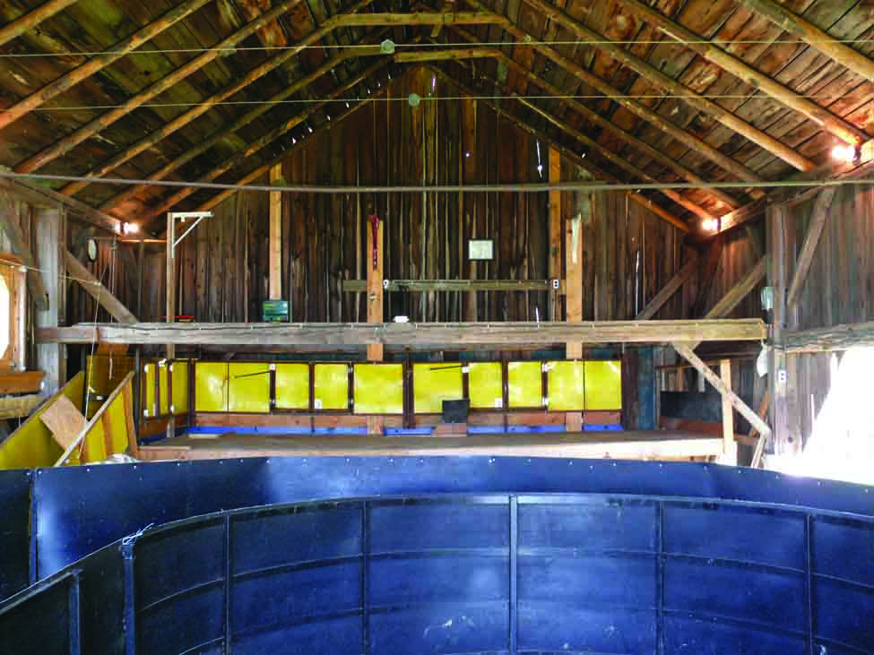 Interior photo of a shearing facility in Ontario showing the bugle entrance onto the raised shearing floor. This shearing deck has three stations.