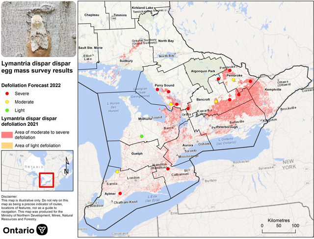 Map of southern Ontario showing distribution of projected 2022 LDD moth defoliation