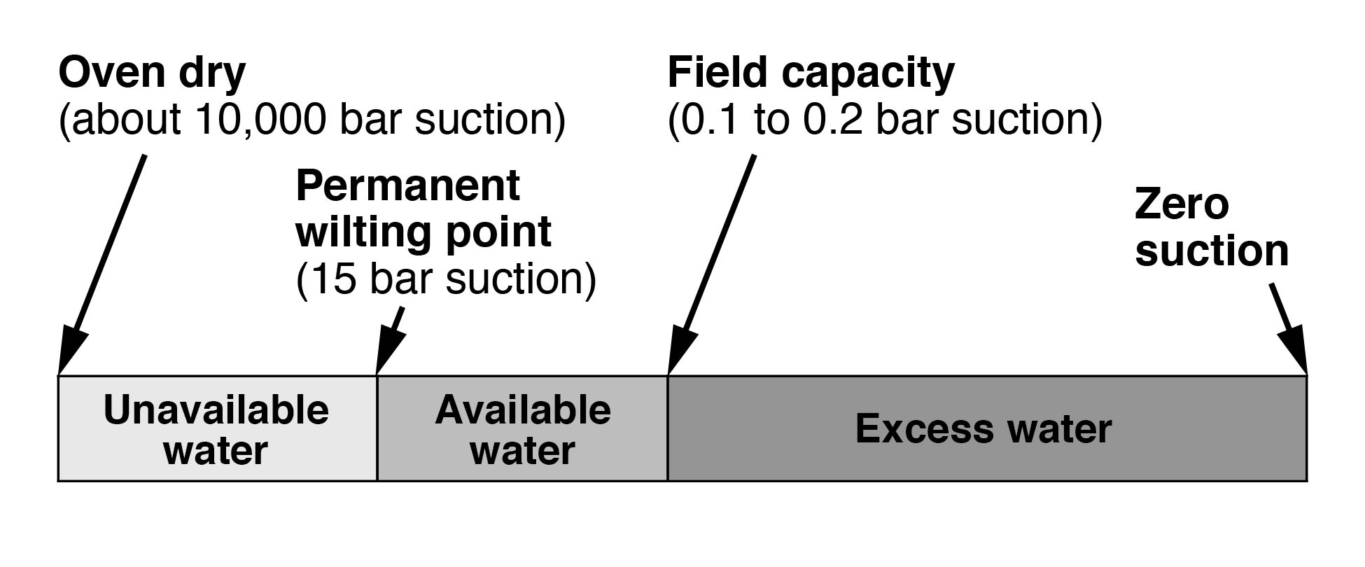 Drawing of soil water demonstrating only a portion is available for plant uptake. Unavailable water: Oven dry (about 10,000 bar suction) to Permanent wilting point (15 bar suction). Available water: Permanent wilting point to Field capacity (0.1 to 0.2 bar suction). Excess water: Field capacity to zero suction.