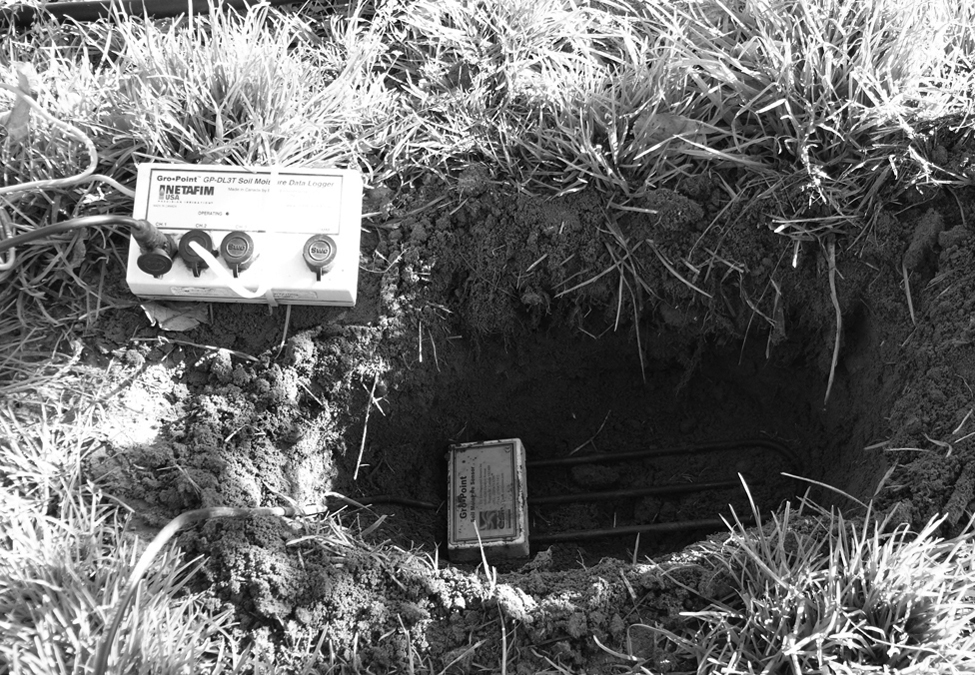 TDR instrument about to be buried in 15-cm hole wired to above ground data logger (in apple orchard)