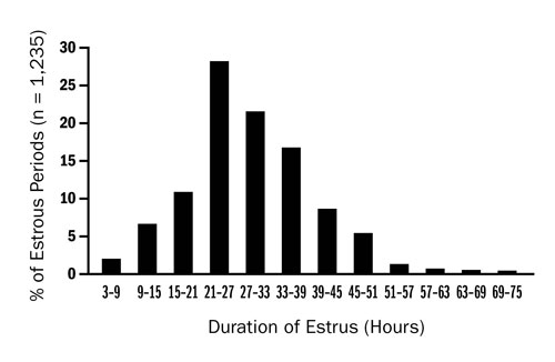 Bar graph showing frequency distribution of the duration of estrus in ewes.