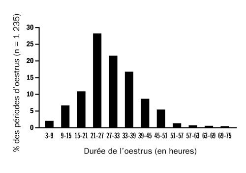 Graphique de distribution statistique de la durée de l'oestrus chez les brebis.