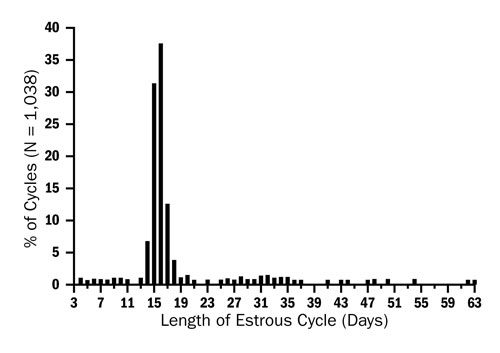Graph showing frequency distribution of the length of the estrous cycle in ewes.