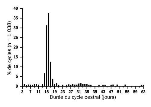 Graphique de distribution statistique de la durée du cycle oestral chez les brebis.