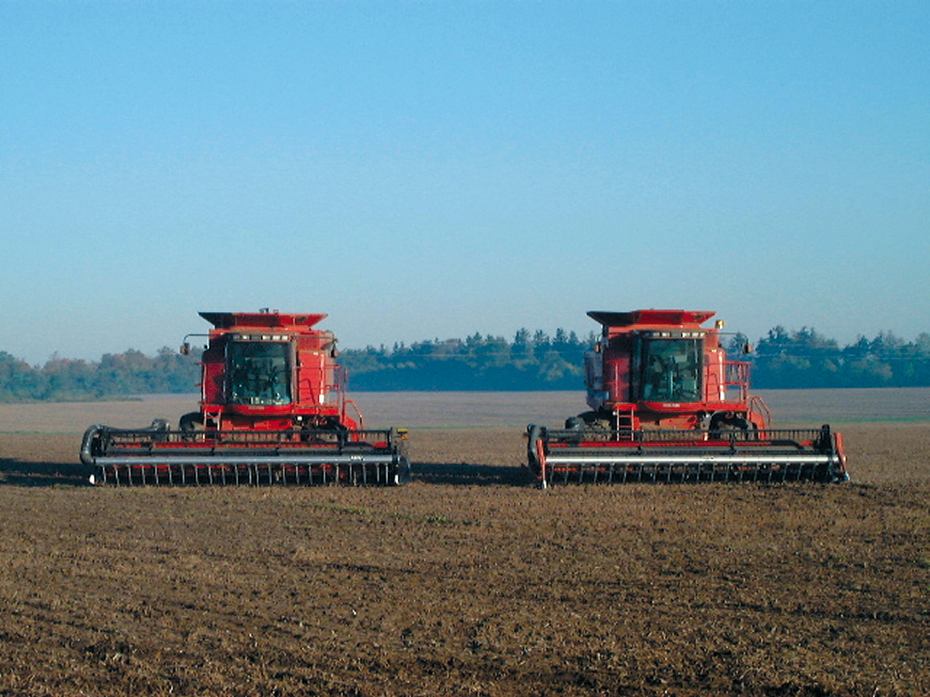 Two combines harvesting a crop and running side by side in a field 