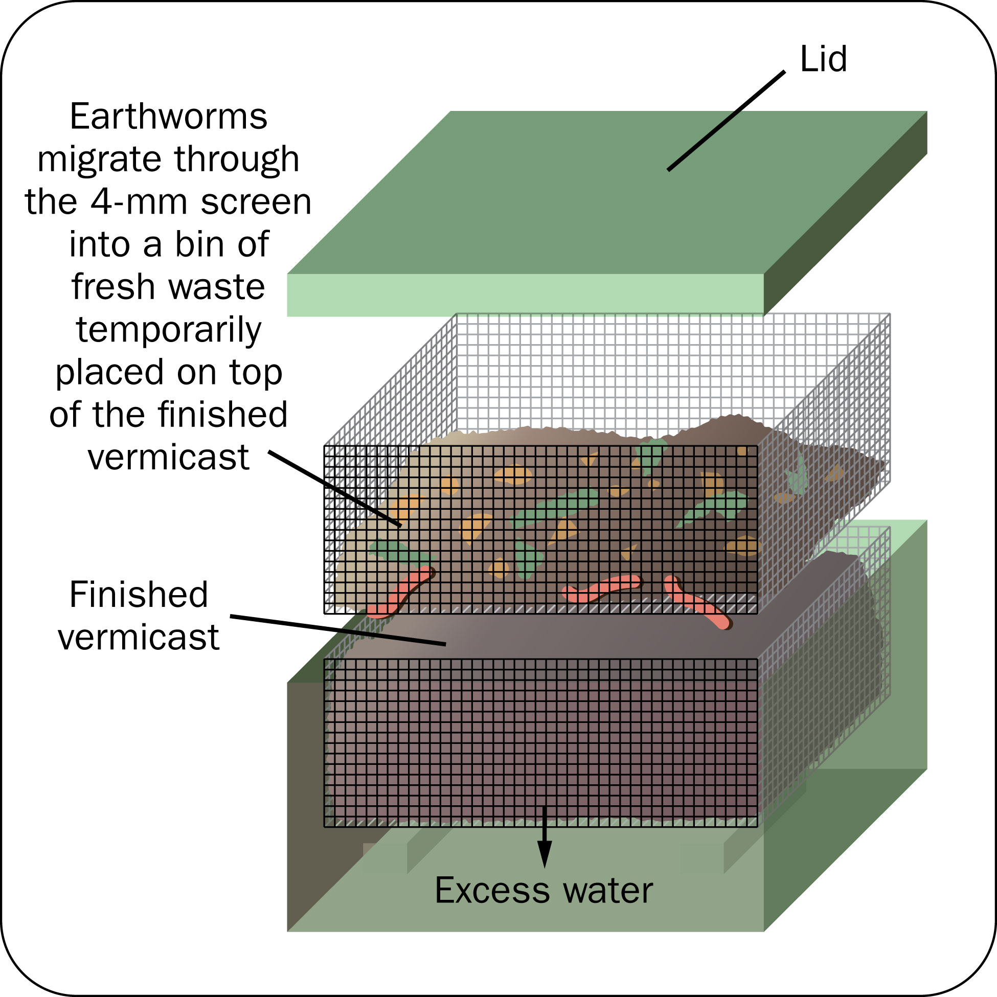 Scientists find that earthworm guts can digest cellulose, opening new  avenues for the recycling of organic waste – Firstpost