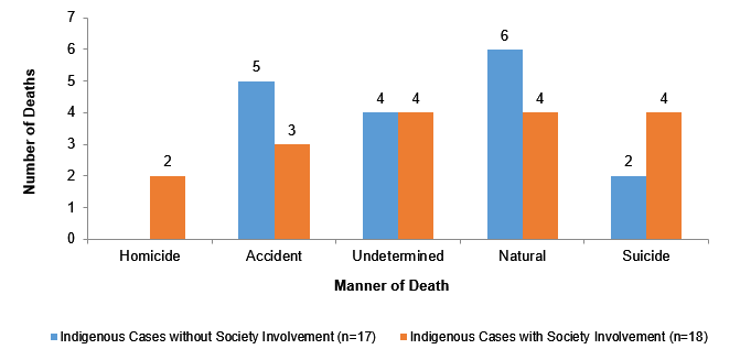 Chart 20: The manners of death in 2018 were: 2 homicides, 8 accidents, 8 undetermined, 10 natural and 6 suicide.  