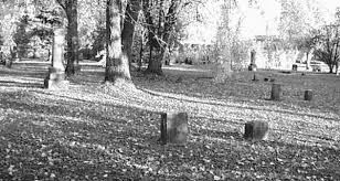 This photograph illustrates several grave markers of different sizes and shapes in a gently rolling landscape adorned with mature trees and open, grassy spaces. It illustrates the naturalistic setting of the cemetery, which is an important part of the statement of cultural heritage value or interest.
