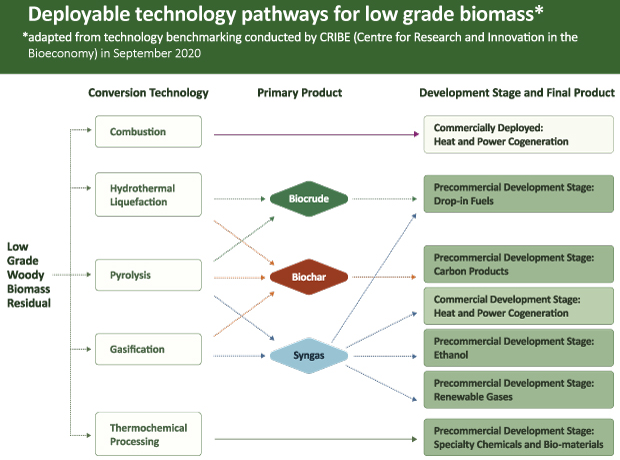 This flowchart illustrates the technical and commercial readiness of various established and emerging uses for low-grade forest biomass in the form of bark. This demonstrates that new uses for low-grade forest biomass requires significant investments in pre-commercial development.
