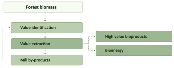 This is a flow-chart of product extraction from forest biomass. First, value identification occurs followed by value extraction to high-value products or bioenergy. Value identification for the mill by-products then follows the same process.