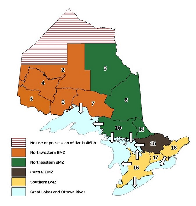 Map of Ontario showing the amalgamation of Fisheries Management Zones into 4 Bait Management Zones (Northwestern, Northeastern, Central and Southern zones). Arrows show exceptions where bait would be allowed to move into the Great Lakes from adjacent zones.