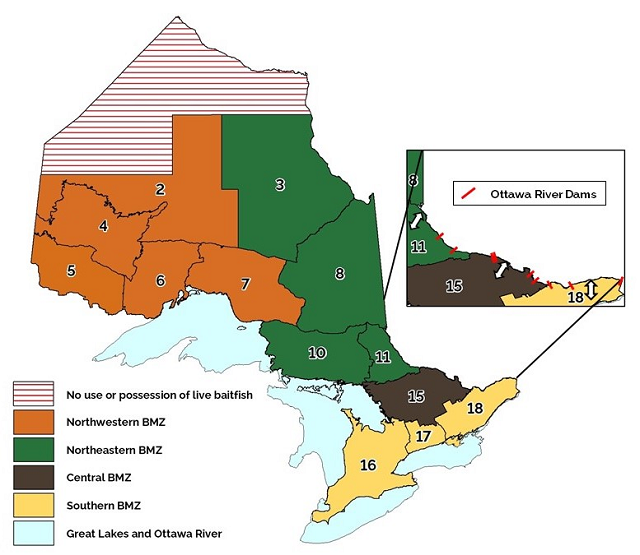 Map of Ontario showing the amalgamation of Fisheries Management Zones into 4 Bait Management Zones (Northwestern, Northeastern, Central and Southern zones). An inset maps shows arrows in and out of the Ottawa River where bait would be allowed to move.