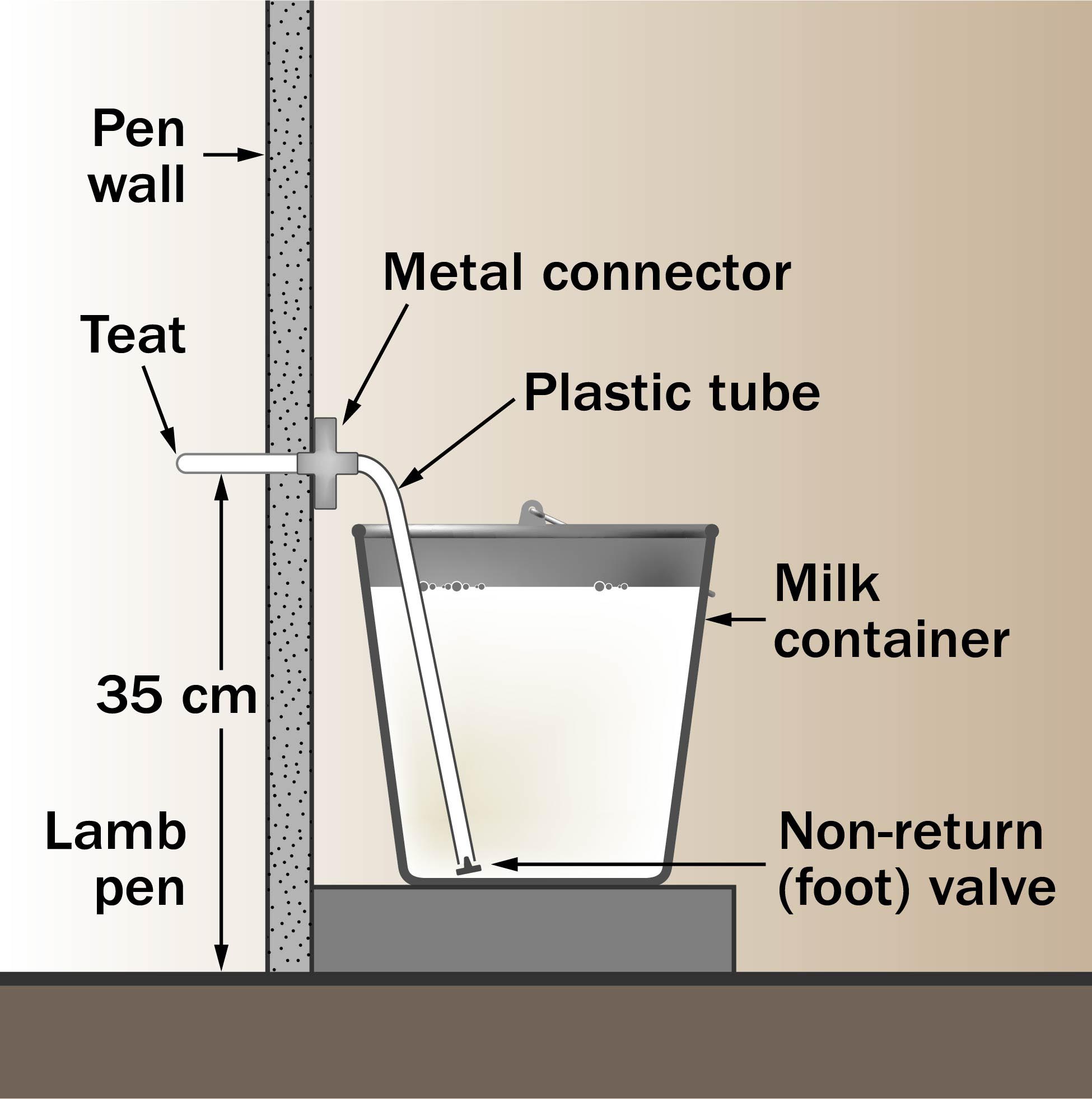 Diagram showing how a nipple pail works. A pail is located on one side of the pen wall. There is a hole in the wall 36 cm above the pen floor. A nipple sticks out into the pen on the opposite side of the pail. A plastic tube with a non-return foot valve goes into the pail or milk container.