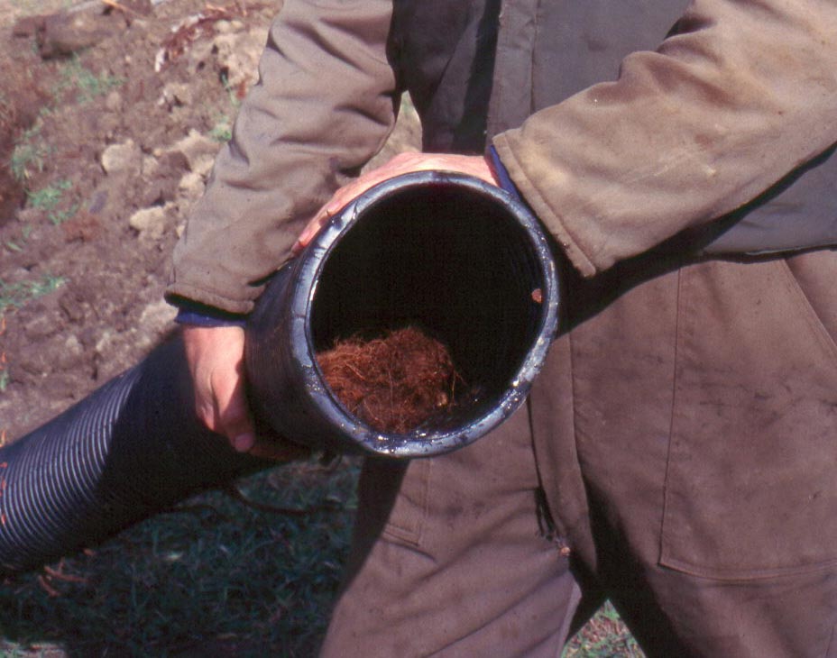 Section of drainage pipe with what looks like soil inside