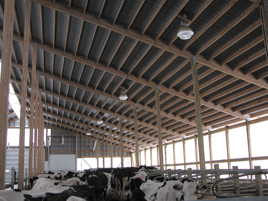 This image shows a pole barn with open sides and light bulbs