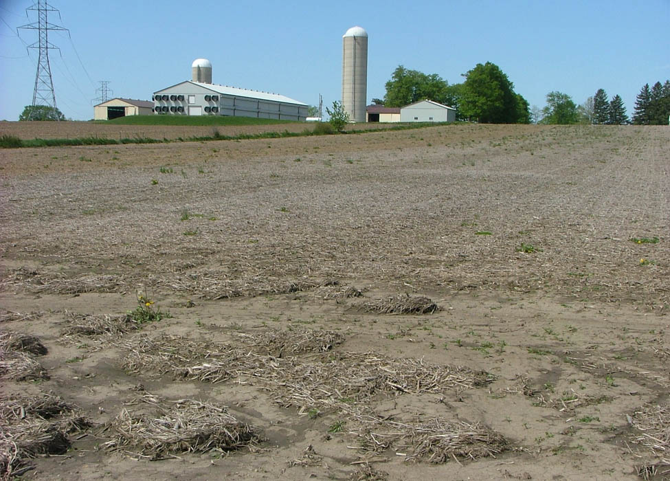 Photo d’un champ récolté montrant, au bas d’une pente, les dépôts de sol et de résidus de culture qui s’y sont accumulés