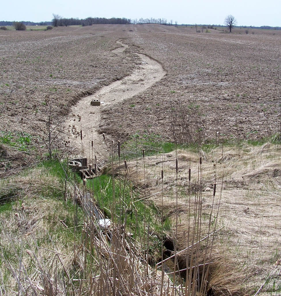 A harvested field with an obvious path where the surface water runoff has been flowing