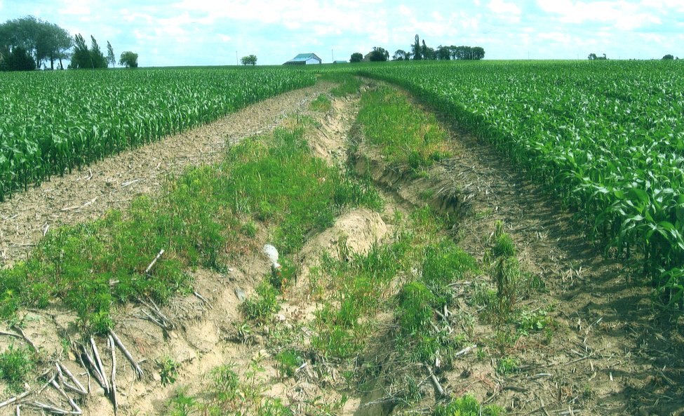 A cropped field with a large gully running through it