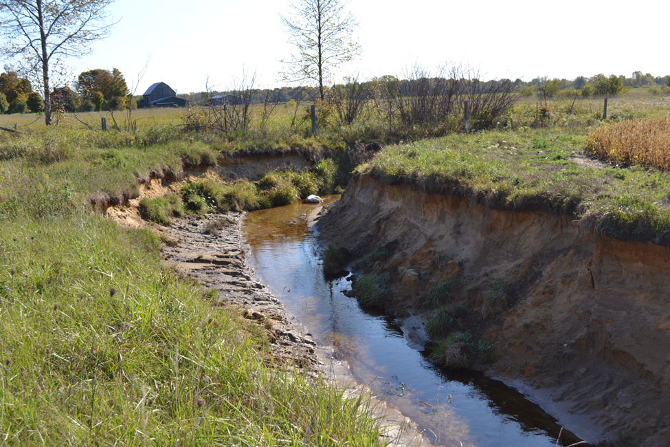 An eroded drainage channel showing undercut and scoured banks