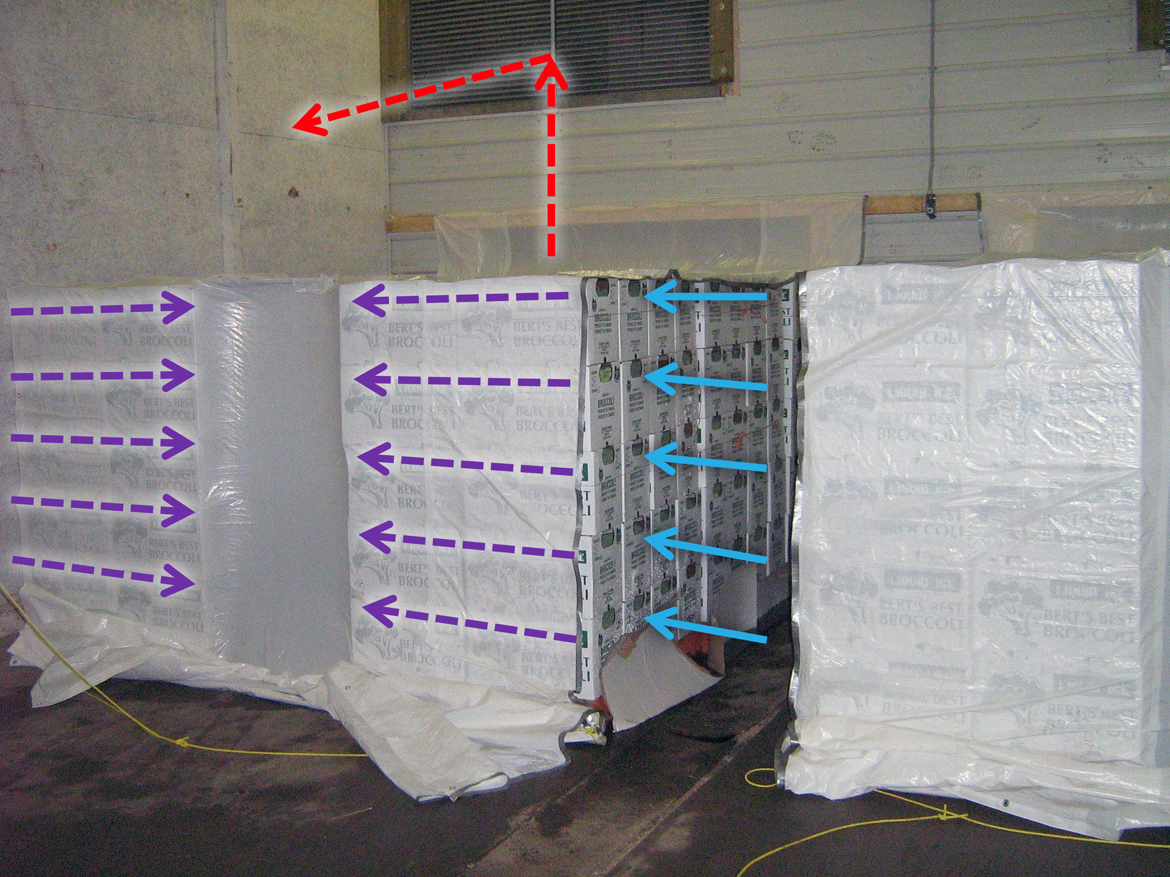 This tunnel horizontal airflow system has high-capacity fans inside a plenum (located behind the pallets) that pull refrigerated air (blue arrows) from the room horizontally through produce boxes. Warmed air (purple then red arrows) then travels through a “tunnel” created between the pallets and into the plenum, where it is directed back into the storage room (red arrows) towards the evaporator coils to be re-cooled. Pallets are cooled in pairs. Plastic sheeting sucks tightly against the boxes and tunnel. Sheeting is swung into place with cords attached to the ceiling.