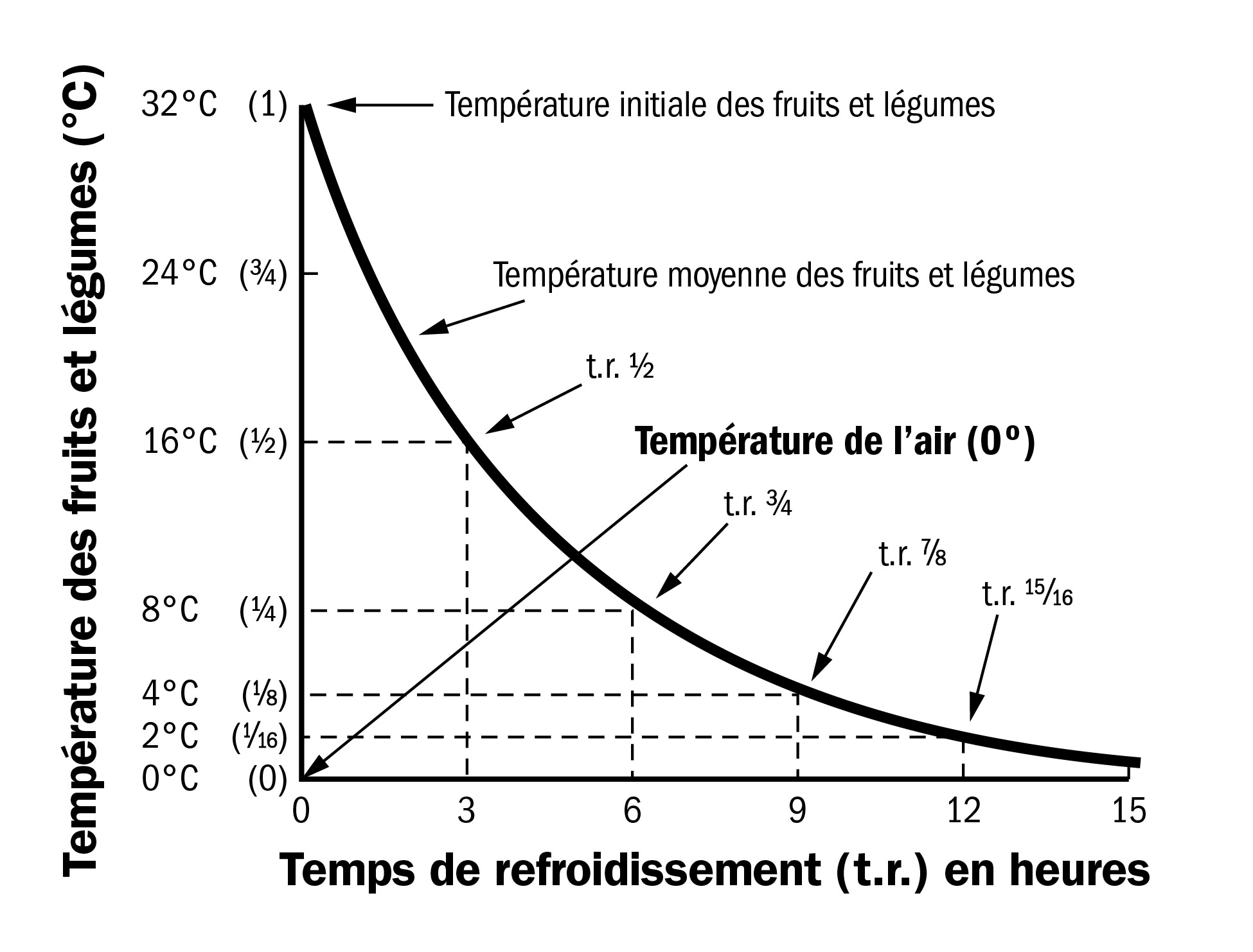 Un graphique. L’axe des «  y  » indique les températures internes des fruits ou des légumes, de 0 à 32 degrés Celsius. L’axe des «  x  » indique les heures, de 0 à 15. Une courbe lisse descendant de gauche à droite montre comment la température des fruits ou des légumes baisse avec le temps, avec un refroidissement rapide au début et plus lent par la suite. Les temps de refroidissement 1/2, de refroidissement 3/4, de refroidissement 7/8 et de refroidissement 15/16 sont mis en évidence