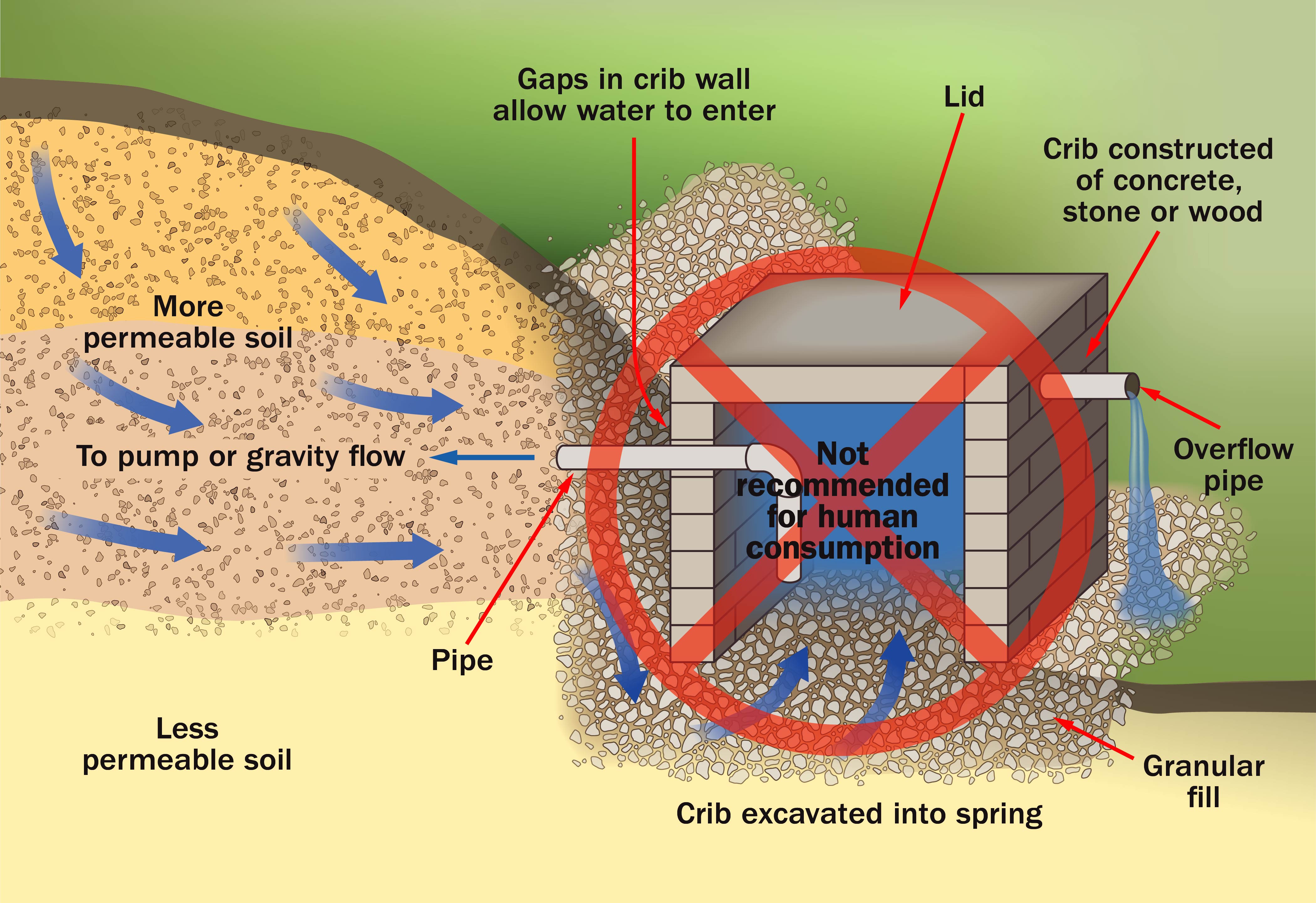 A cross-section of a spring and spring box. The spring and spring box are vulnerable to contamination because contaminated surface water can enter freely.