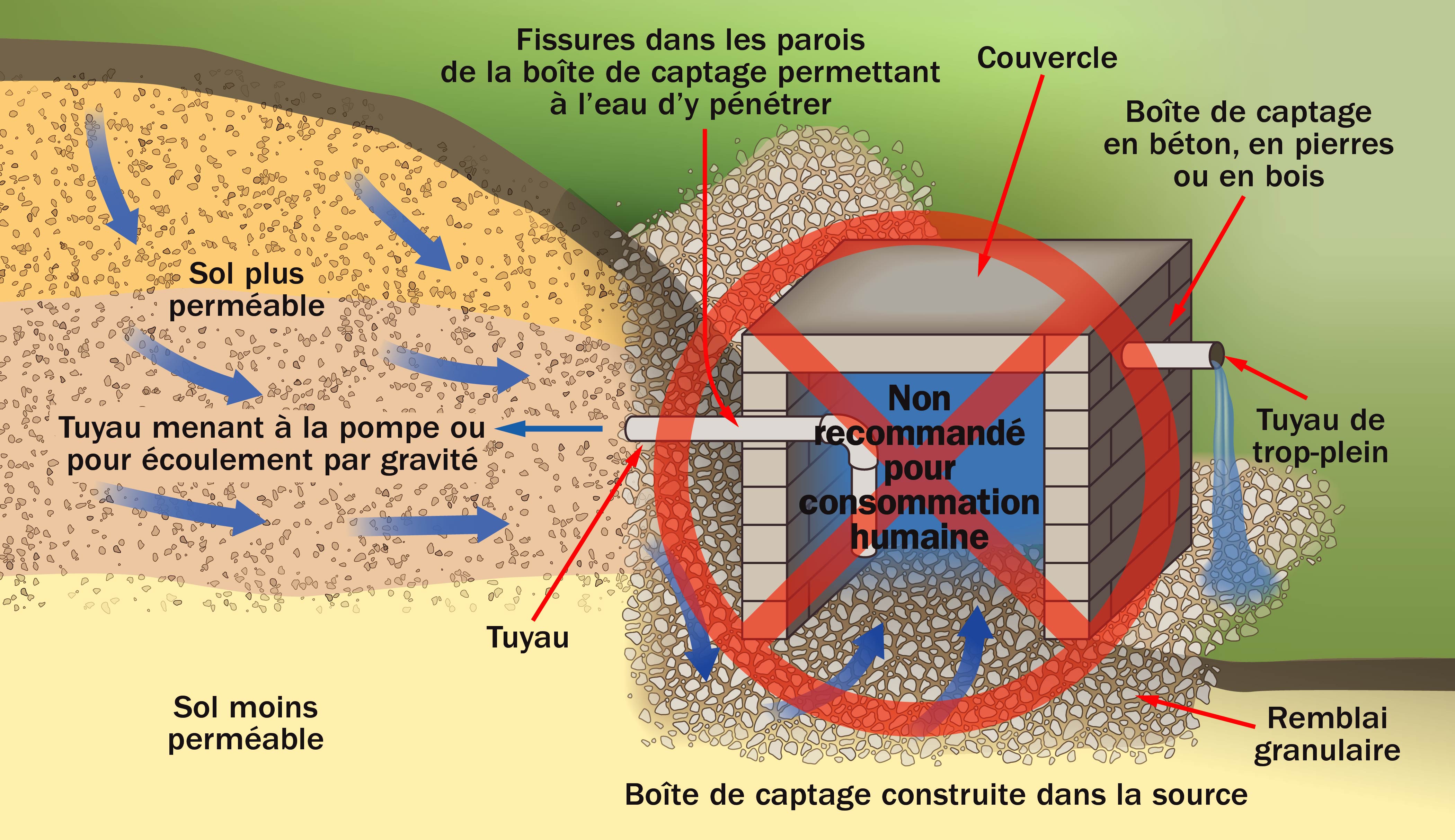 Schéma illustrant une vue transversale d’une source et de sa boîte de captage qui sont toutes deux vulnérables à la contamination puisque des eaux de surface contaminées peuvent y pénétrer librement.