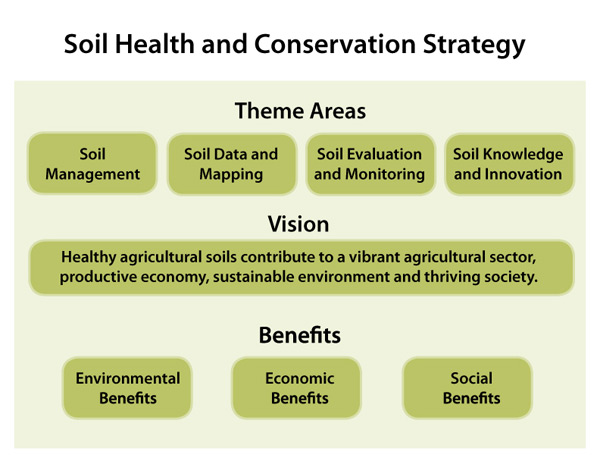 Soil health and conservation strategy